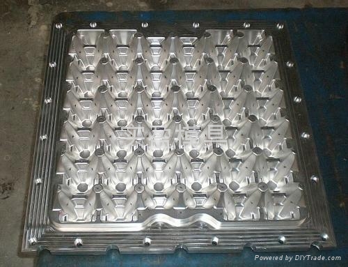 長期銷售塑料蛋托模具 3