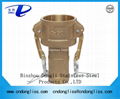 china Copper Material Brass Camlock Fitting cam lock coupling