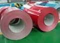 Thermal Insulation Pre Painted Galvalume Steel Coil 0.6MM Thickness CE ISO 1