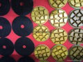 Diamond Dry Floor Polishing Pads 1