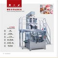 Vegetable Salad Packaging Machine 1