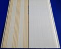 Factory direct sales of PVC ceiling 3