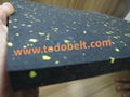 gym mat / star light mat