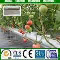 Zhikai Rockwool hydroponic 4