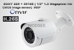 H.265 Outdoor HD-IP Cameras IPH-MD25