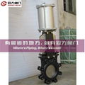 Full Lug Standard Knife Gate Valve 2