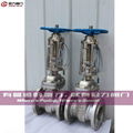 CAST STEEL GATE VALVE 1