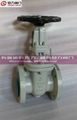 CAST STEEL GATE VALVE 4