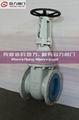 CAST STEEL GATE VALVE 5