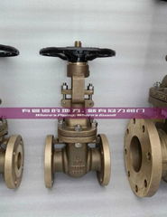 SPECIAL MATERIAL VALVES