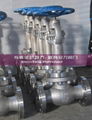 CRYOGENIC VALVE GLOBE VALVE 1