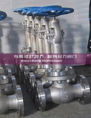 CRYOGENIC VALVE GLOBE VALVE