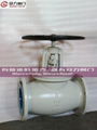 CRYOGENIC VALVE GLOBE VALVE 4