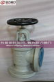 CRYOGENIC VALVE GLOBE VALVE 3