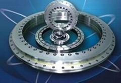 YRT200 Rotary Table Bearings