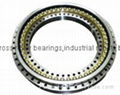 ZKLDF100 Rotary Table Bearings (100x185x38mm) Machine Tool Bearing INA type High