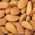 Almond nuts 1
