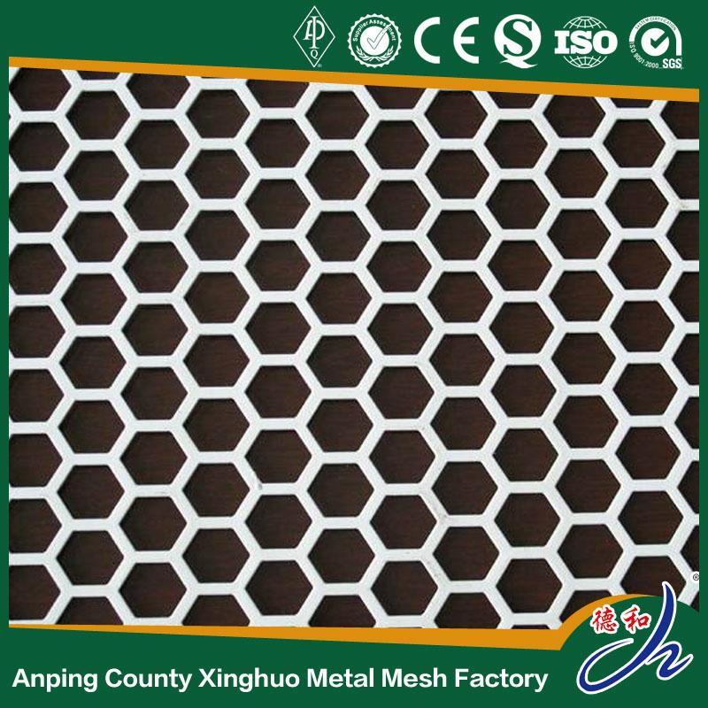 Stainless Steel 304&316 Perforated Metal Mesh for Decorate 5