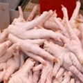 Frozen chicken feet/paws 2