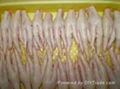 Frozen Chicken feet / Processed Frozen Chicken Feet  1