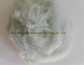 Polyester Staple Fiber 1