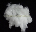 100% recycled polyester staple fiber 4