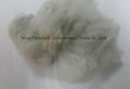 Polyester Staple Fiber 5