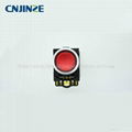 Momentary IIIuminated Flush button Switch 1NO LB