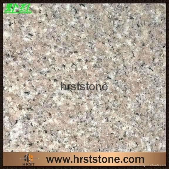 shrimp pink granite G681 2