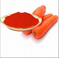 Beta Carotene 10% From China 2