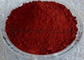 High Quality Astaxanthin 10%Powder by HPLC Supply From China 1