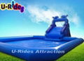 Blue Ocean Dolphin Inflatable Water Parks Digital Printing 10 X 10 Meter