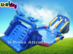 Customized Adult Backyard Inflatable