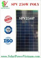 High Efficiency solar panel made in Vietnam with TUV sud certificate - 250W poly 1