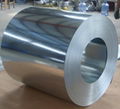  hot dipped galvanized steel coil