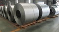  hot dipped galvanized steel coil 4