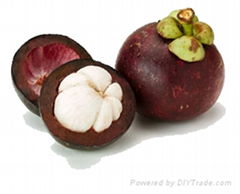 100% Organic Mangosteen Juice