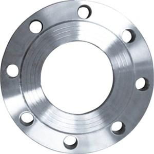 Titanium Flange