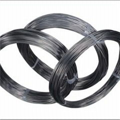 Titanium Wire