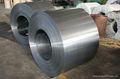 Hot Dipped Galvanized Steel Coils