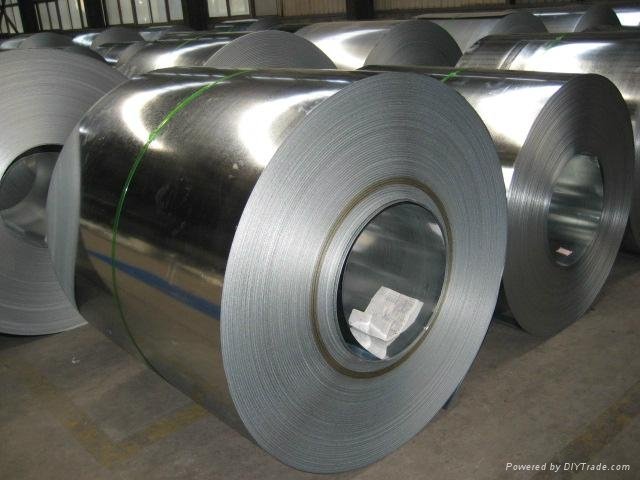 Hot Dipped Galvanized Steel Coils 2