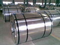 Hot Dipped Galvanized Steel Coils 4