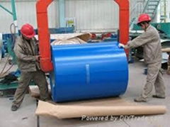 factory colorful ppgi prepainted galvanized steel coil