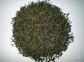 Vietnam Green Tea 2