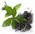 Vietnam Green Tea 3