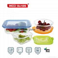 Borosilicate glass food storage with