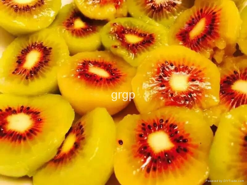 Organic kiwi / Red Kiwi / Fresh fruit (China Trading Company) Fruit