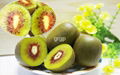 Organic kiwi / Red Kiwi / Fresh fruit 2