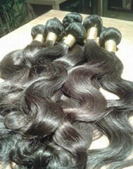 Virgin Brazilian Hair