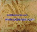 Ion exchange resin for portable exchange